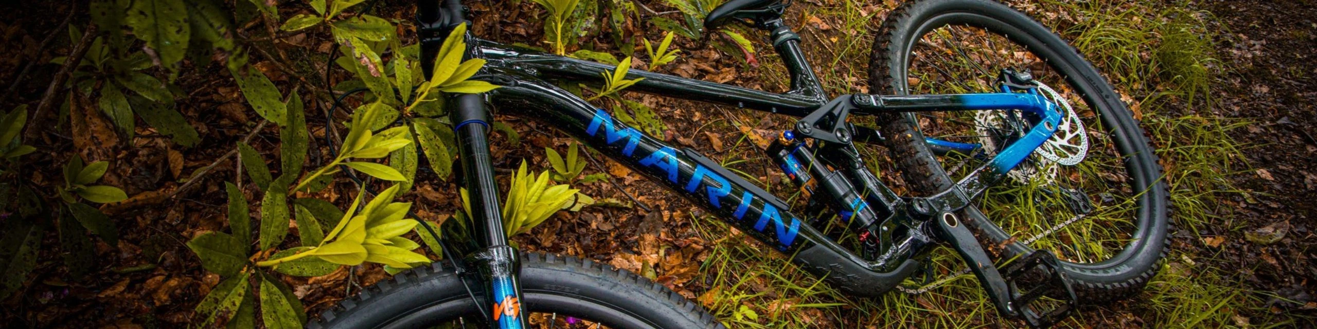 Marin Bikes