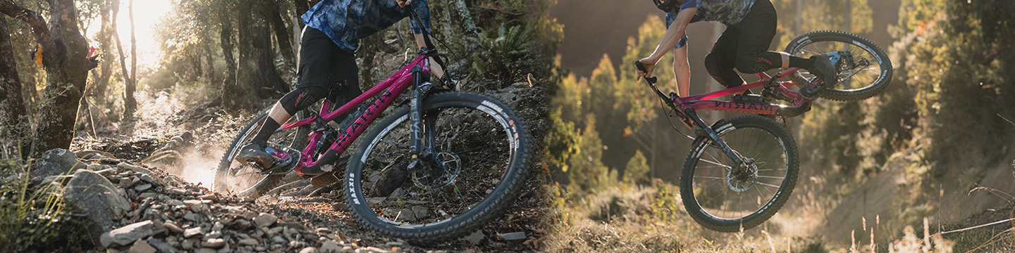Marin Alpine Trail