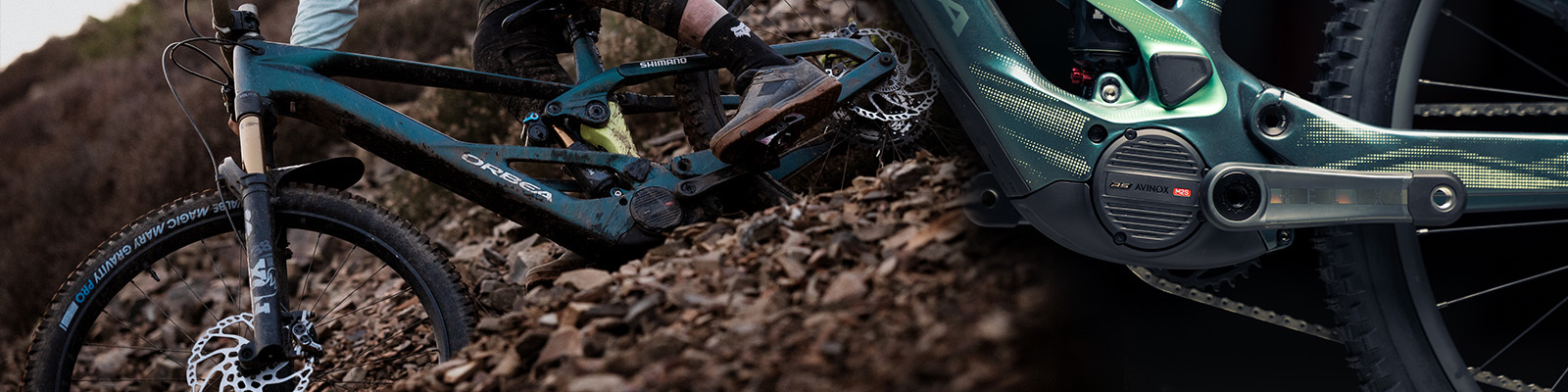 Orbea Wild LT (Avinox) ⚡
