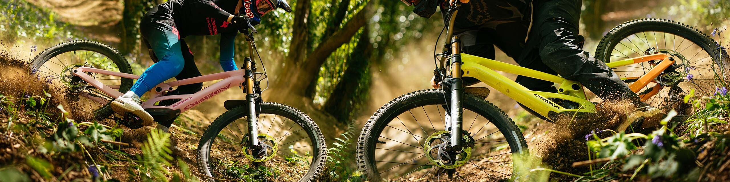 Orbea Rallon DownHill