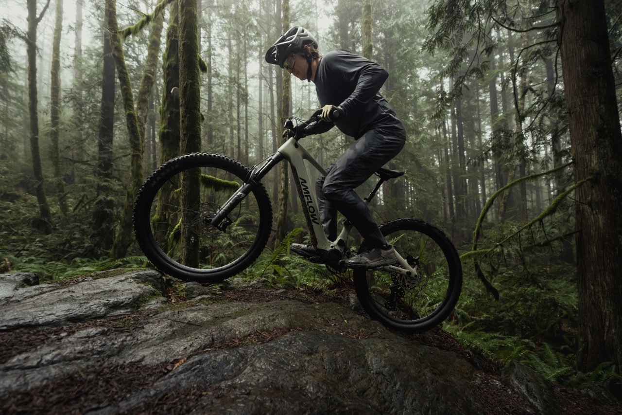 Amflow PR Carbon Pro 2026