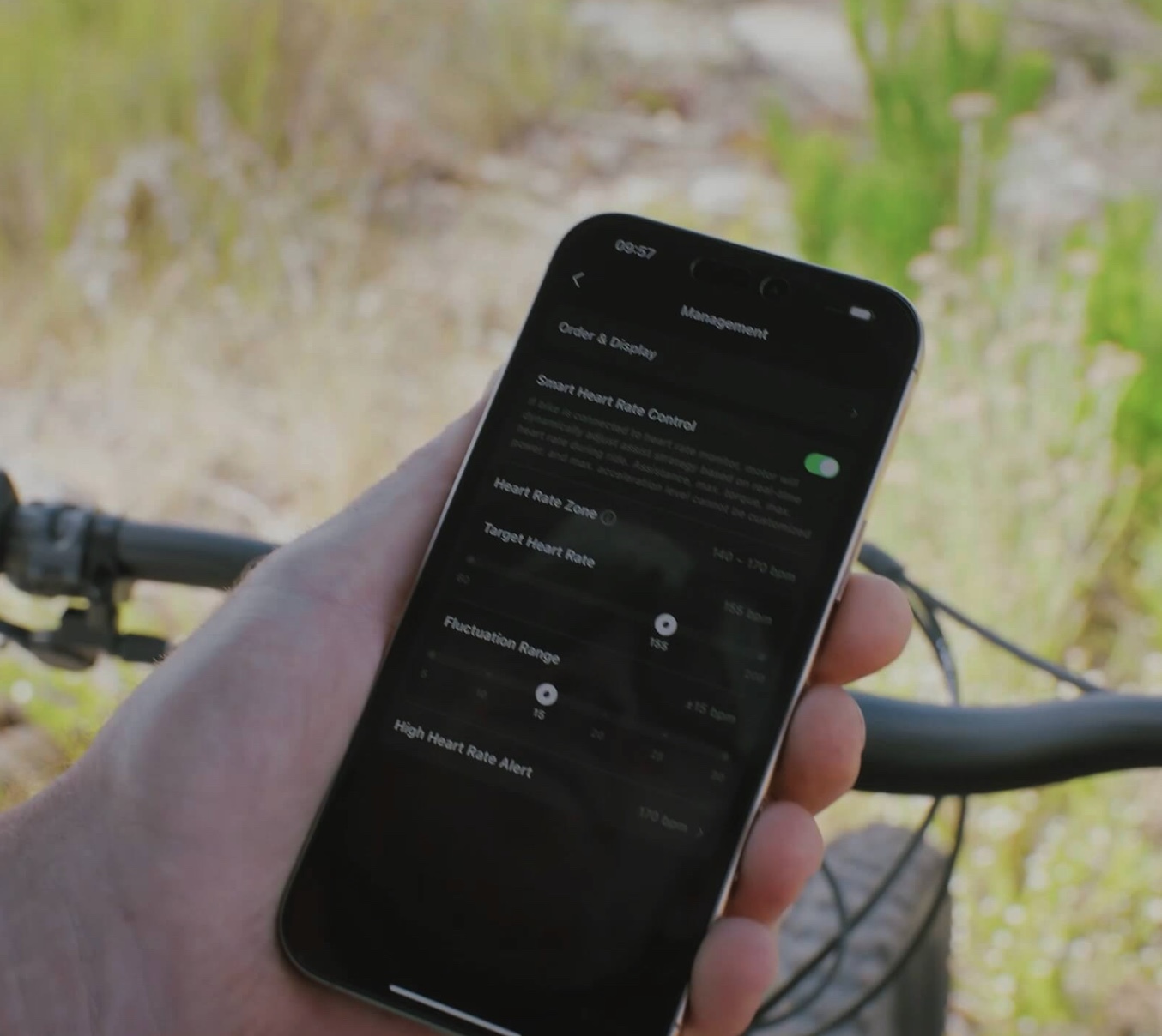 Amflow PR Carbon Pro 2026