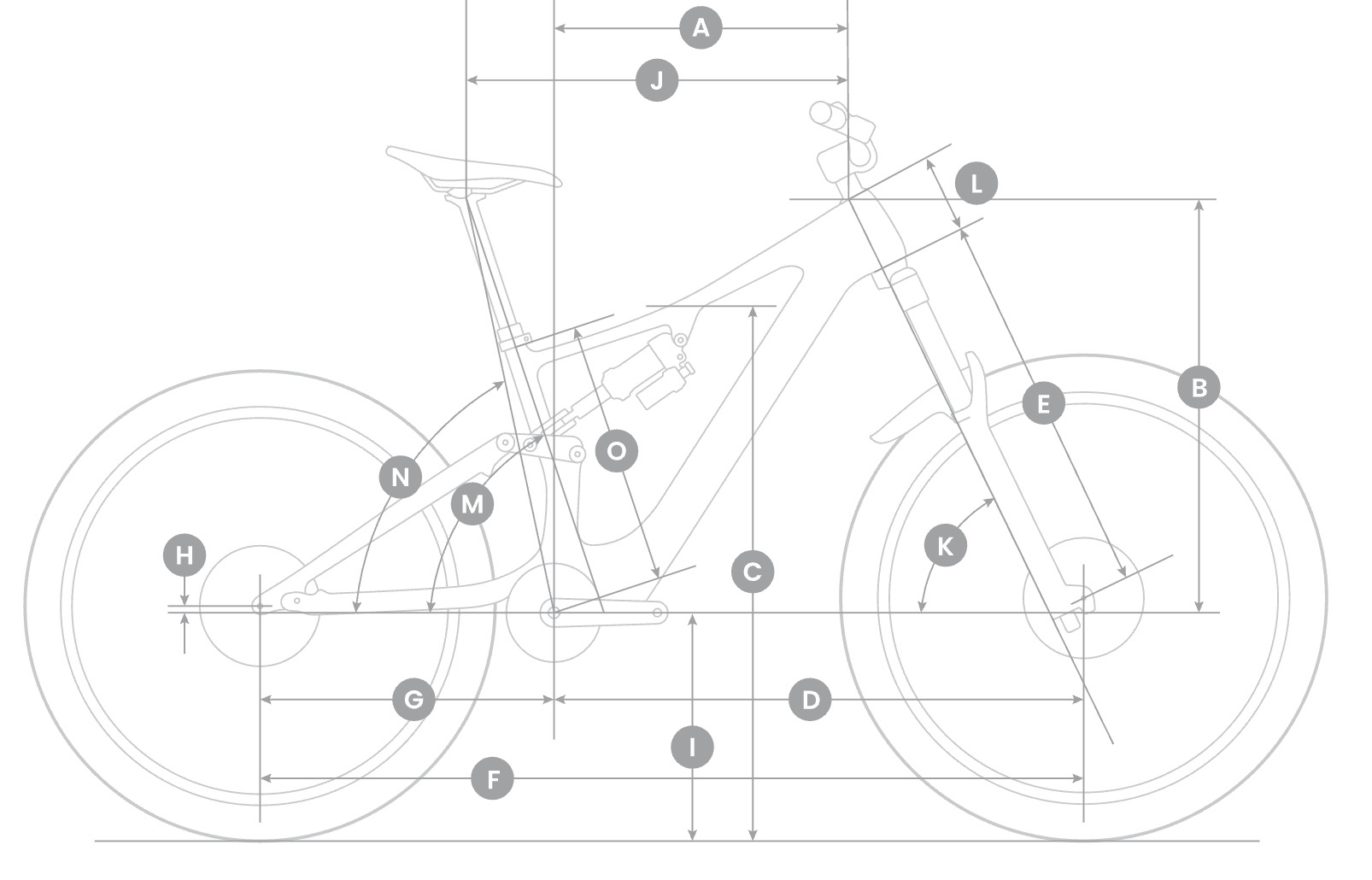 Amflow PX Carbon 2027 Geometry