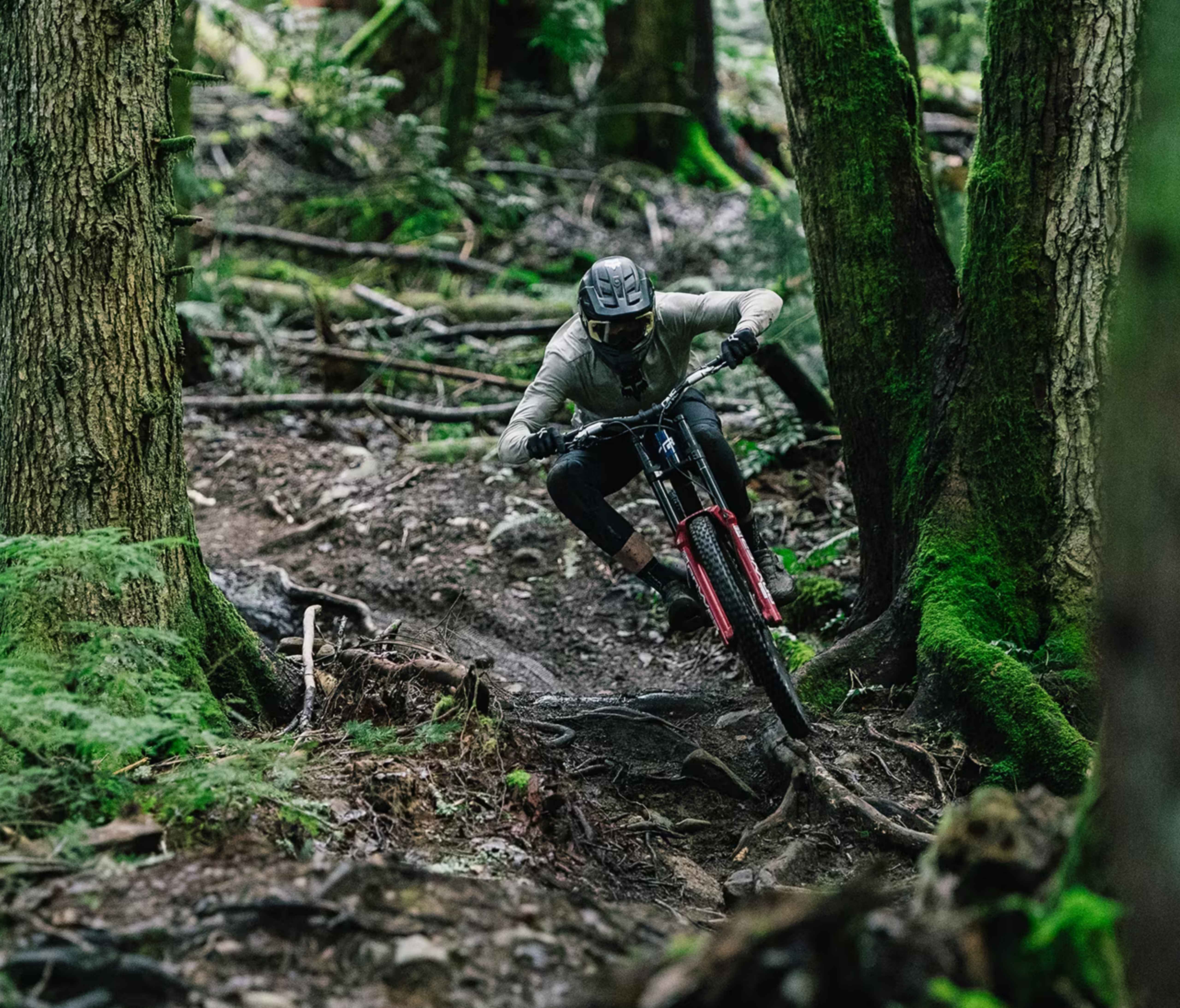 Transition TR11 Alloy DH GX 2027 Transition TR11 Alloy DH GX 2027