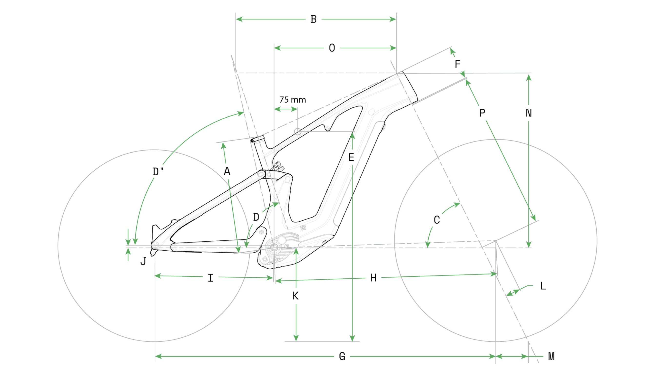 monterra-geometry.png monterra-geometry.png