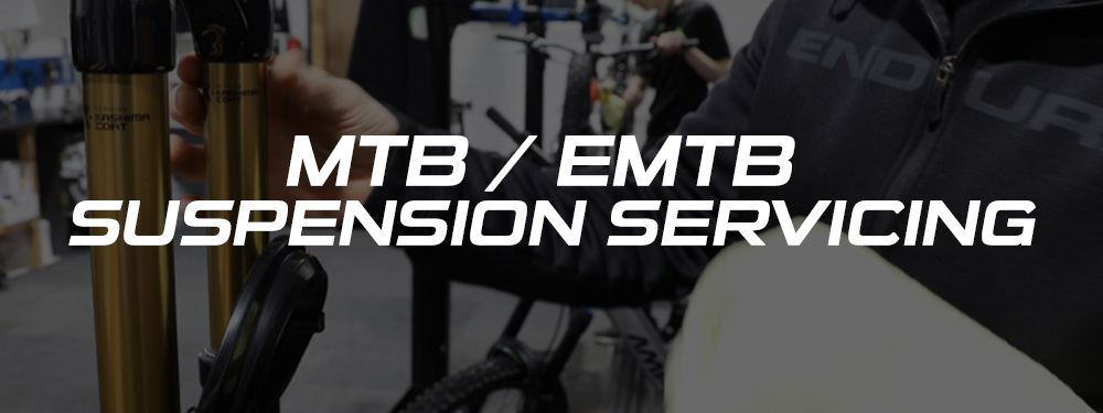MTB / EMTB Suspension Servicing