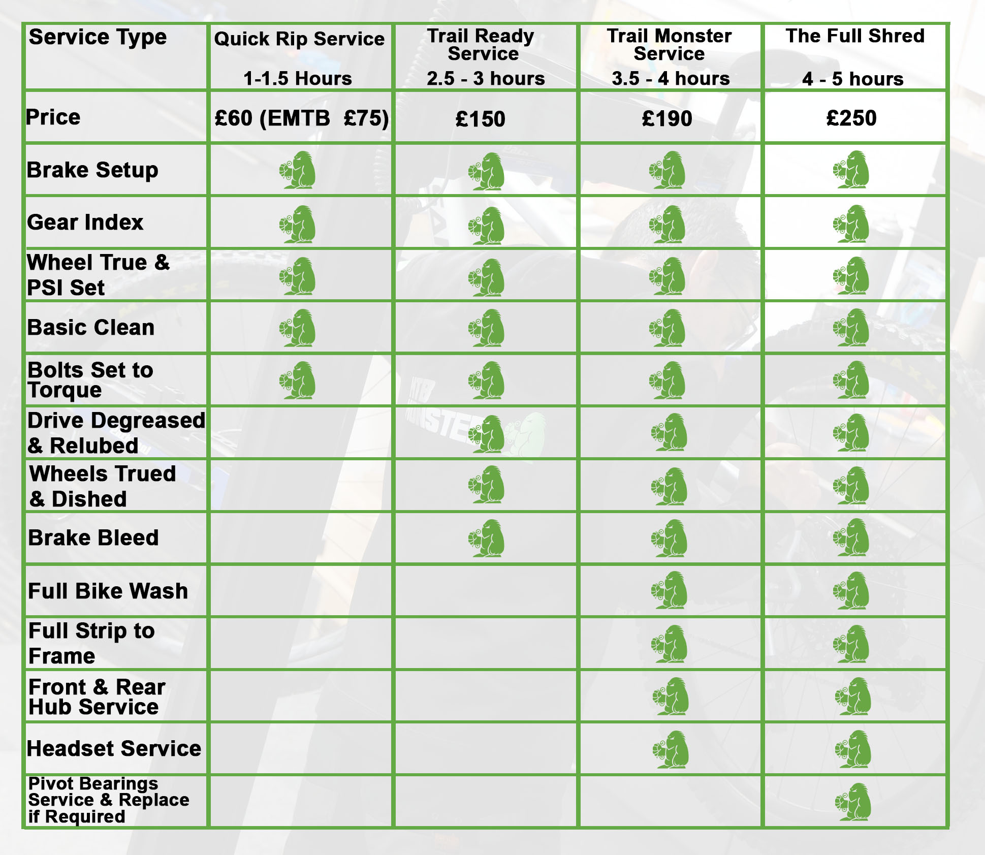 MTB Monster EMTB/ Mountain Bike Workshop Service options