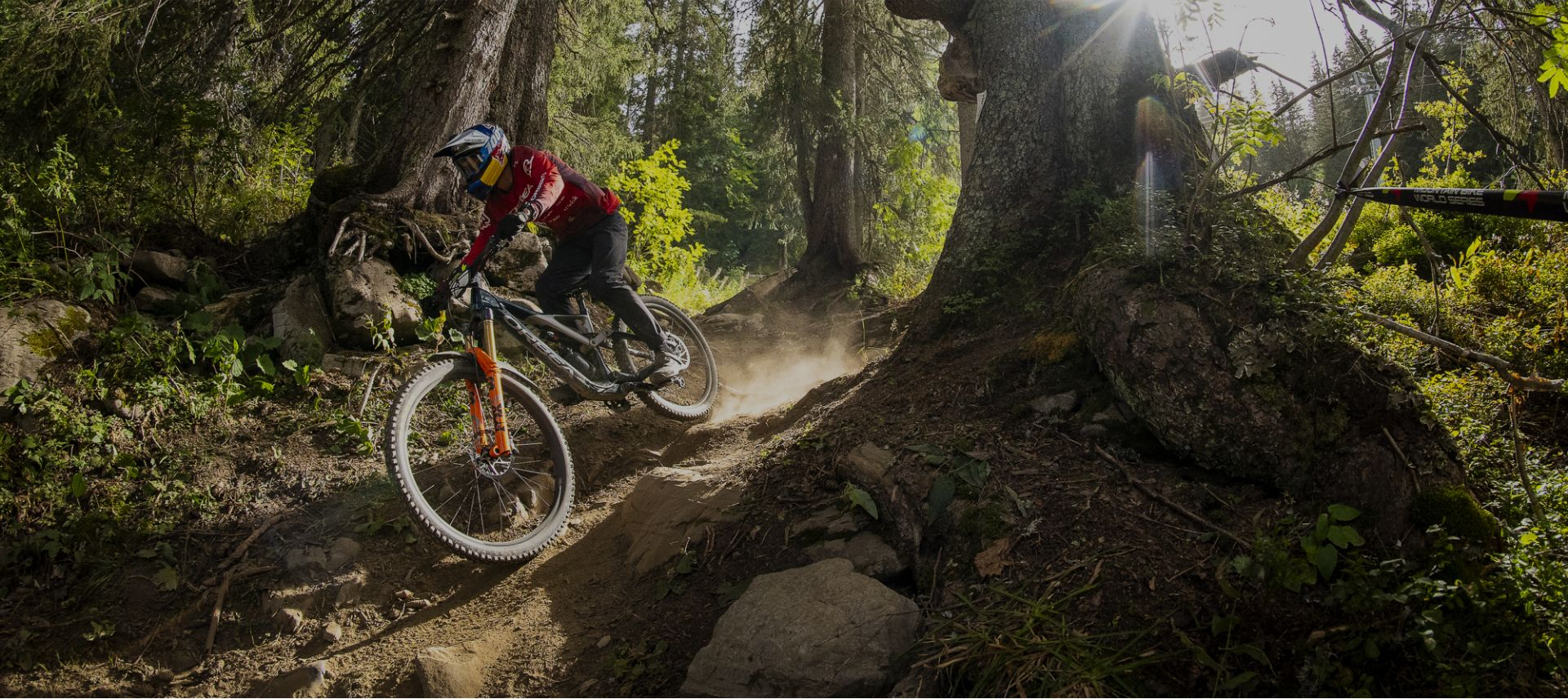 orbea-rallon-m10