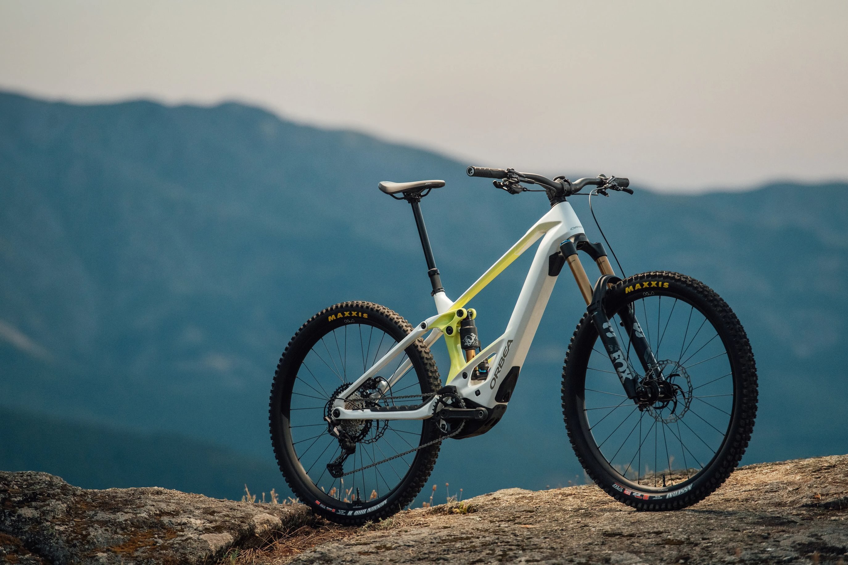 Orbea Wild 2026