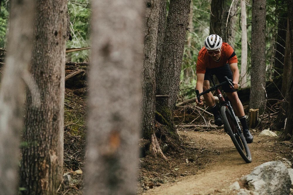 santa cruz stigmata action santa cruz stigmata action