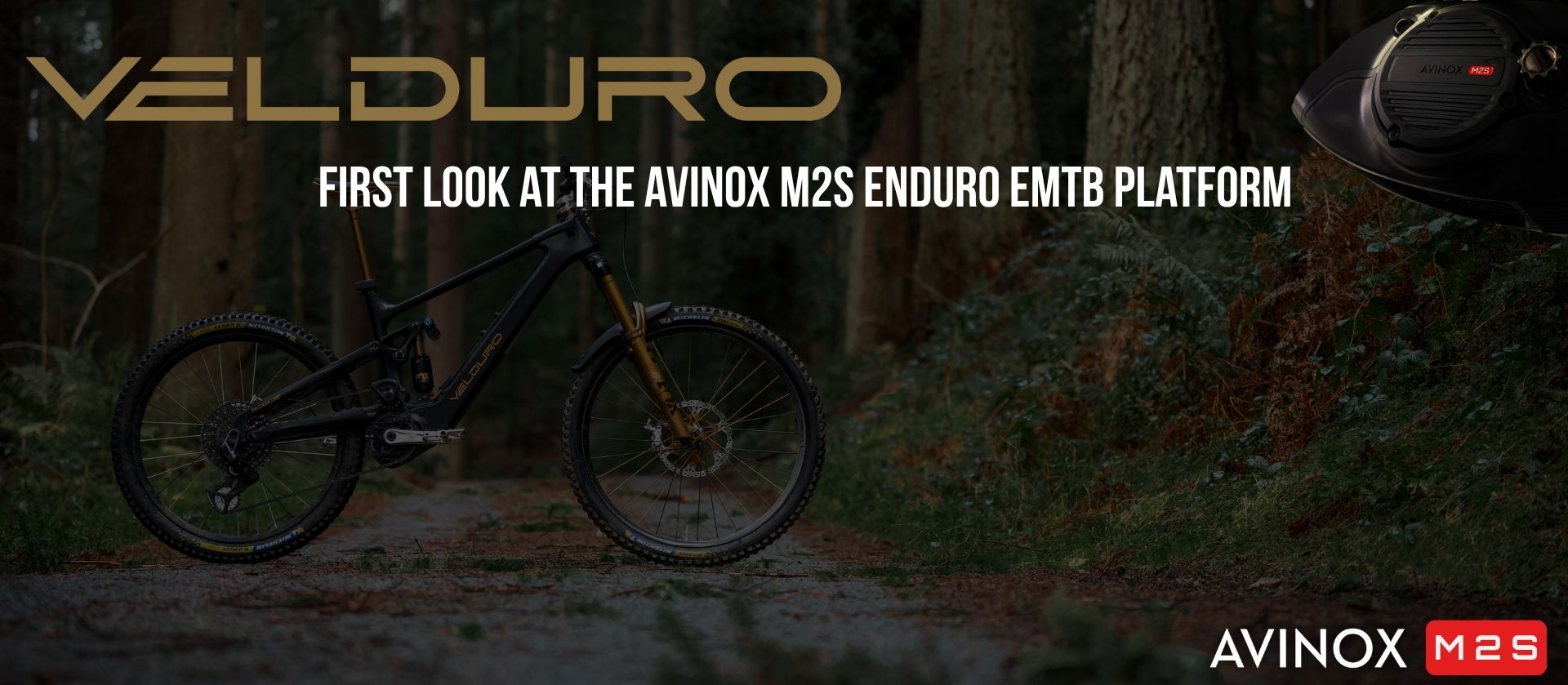 Velduro Rogue (2026–2027) | First Look at the Avinox M2S Enduro