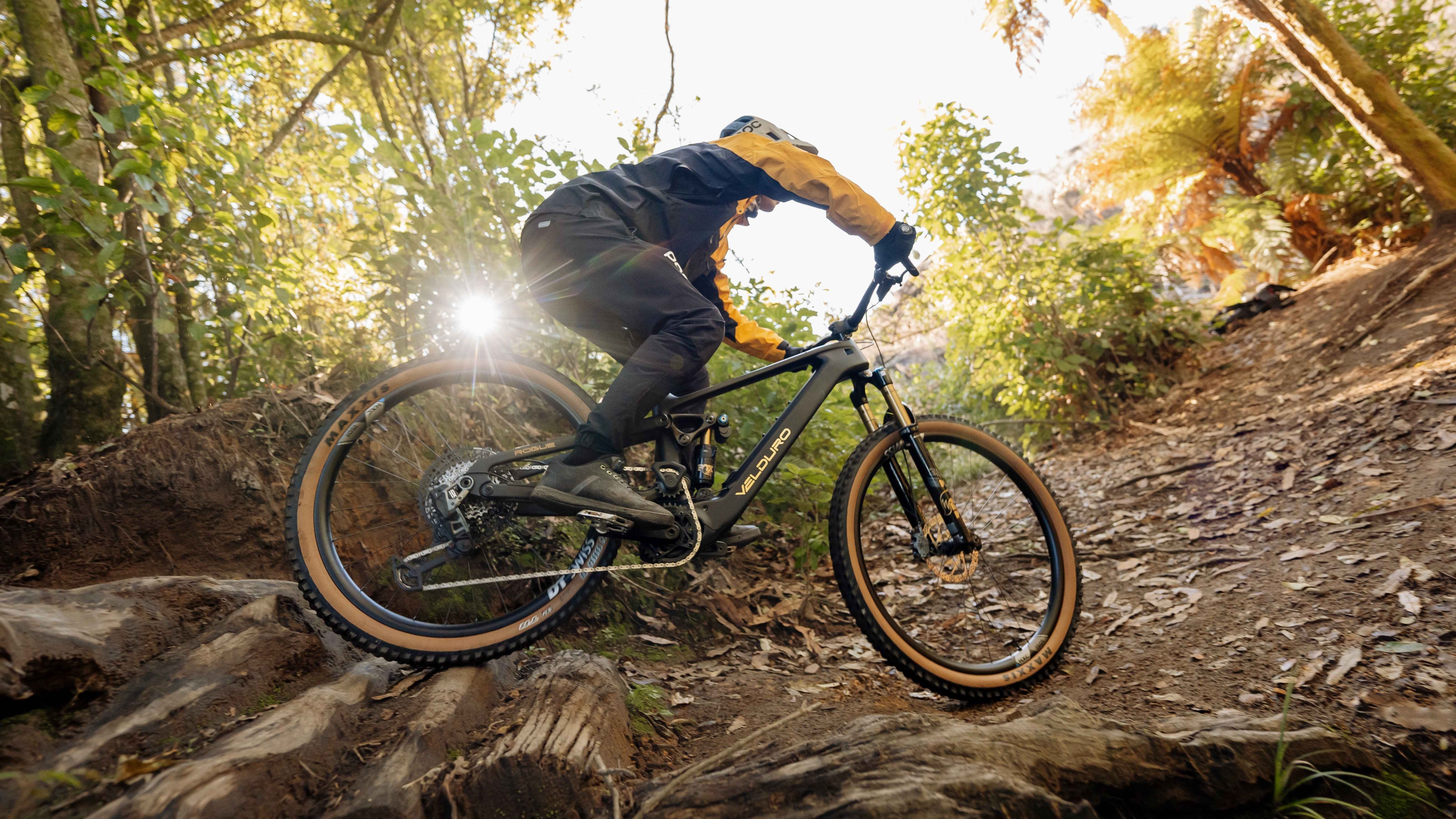 Velduro Rogue DI2 MONSTER Build