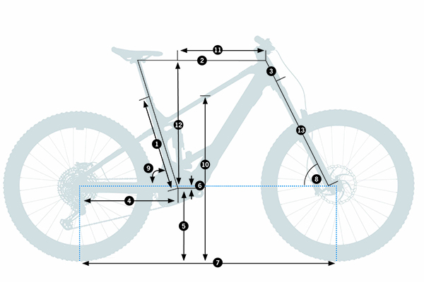 Orbea Wild 2024