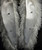genuine Monglian lamb fur collar