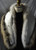 Real Fox Fur Collar Golden Island detachable