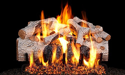 Real Fyre 24 Charred Mountain Birch Gas Log Set With Vented G45 Burner -  Match Light