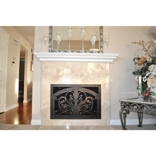 Azalea Rectangular Fireplace Door - Wrought Iron - Traditional Surround