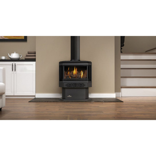 Haliburton Direct Vent Gas Stove (Millivolt Ignition) - Napoleon