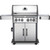 Rogue SE 525 Natural Gas Grill With Infrared Rear And Side Burners In Stainless Steel - RSE525RSIBNSS-1