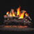 Real Fyre Coastal Driftwood See Thru 24" | Front view