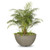 Luna Planter Bowl | The Outdoor Plus - Ash