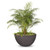 Luna Planter Bowl | The Outdoor Plus - Chestnut