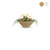 Cazo Planter Bowl | The Outdoor Plus - Brown