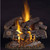 20" TimberFire Vented Gas Log Set - 20" Match Lit FX Burner with Grate Kit