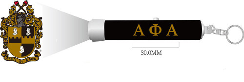 Torch Light Key Ring (APA)