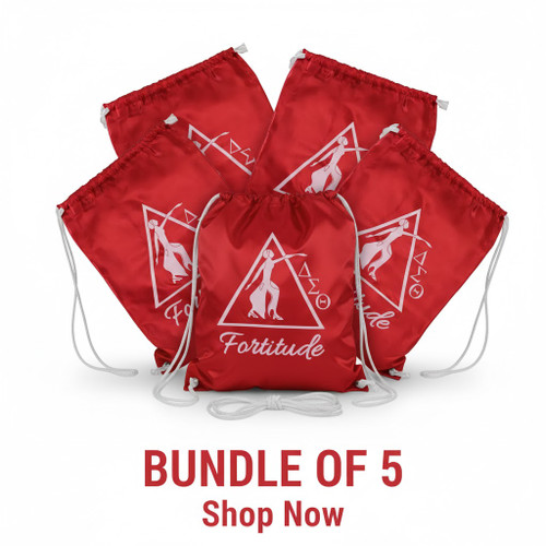  DST Gift Stuffer Bags (5 Per Bundle)