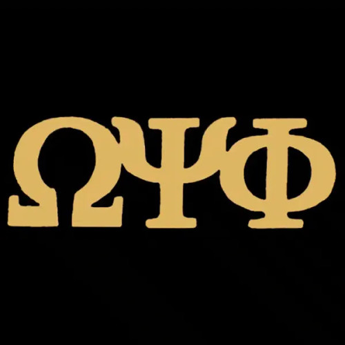 OPP 1″ Gold Letters Lapel Pin