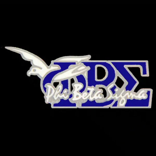 PBS W/Dove New Image Pin Royal