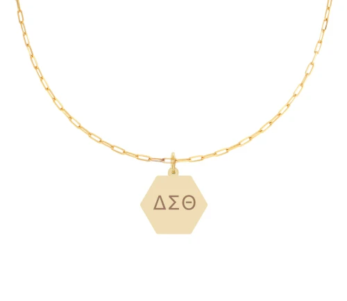 Delta Sigma Theta Paperclip Necklace with DST Sorority Pendant(BCAM)