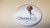 Obama '08  Change-Action-Hope Button