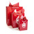 DST Paper Gift Bag Set  DST Paper Gift Bag Set