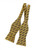 APA GOLD BOWTIE