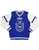 Zeta Phi Beta V Neck Sweater  (3XL ONLY)  (ROYAL)