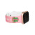 AKA Sorority Pink and Green Watch Band Strap(BCAM)
