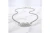 ZPB Winged Bling Pendant Silver Chain Necklace