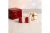 DST Red and White Square Pearl Stone Stud Earrings