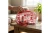DST Red and Clear Graphic Print Makeup Pouch