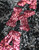 AKA SEQUIN JACKET_BLACK  (Large  ONLY )