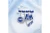 Zeta Phi Beta 1920 Ribbon Charm Brooch