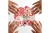Delta Sigma Theta 60 Piece Sticker Set