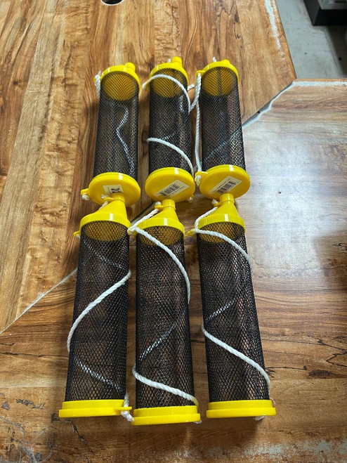 (6) Cricket Containers WHOLESALE BOX