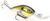 (3) Strike King 8XD 5 1/2" Xtra Deep Crankbaits 1.3 Oz Silver TN Shad Brand New