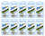 (10) Packs Zoneloc Gold Aberdeen Crappie Hooks #2 ZL180G WHOLESALE LOT ! FREE SHIPPING