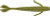 (10) Packs Berkley Powerbait Water Bug - 3.3in - Watermelon Brand New