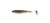 (5) Packs Reaction Strike 4" Chunky Shad Swimbaits Tennessee Shad Brand New