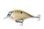 (3) Castaic 3 1/2" Squarebill 3.5 3/4 Oz Crankbaits Tennessee Shad Brand New In Pack